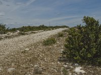 F, Bouches-du-Rhone, Saint Remy-de-Provence, Caume 14, Saxifraga-Marijke Verhagen