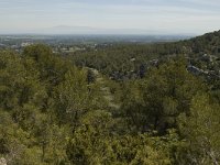 F, Bouches-du-Rhone, Saint Remy-de-Provence, Glanum 16, Saxifraga-Marijke Verhagen