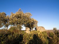 E, Zamora, Fermoselle, Arribes del Duero 3, Saxifraga-Bart Vastenhouw