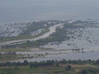 GR, Kentrikí Makedhonía, Sindiki, Limni Kerkini 31, Saxifraga-Ditk Hilbers