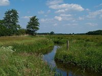 NL, Drenthe, Aa en Hunze, Geelbroek 2, Saxifraga-Hans Dekker