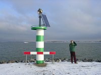 NL, Flevoland, Almere, Oostvaardersplassen 6, Saxifraga-Henk Sierdsema