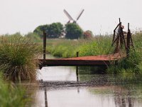 Rusty bridge  Rusty bridge in rural landscape : Netherlands, Zuidlaardermeer, balconies, biotoop, biotope, bridge, brug, bruggetje, canal, ditch, dutch, environment, environmental, field, gras, grass, groningen, holland, iron, landelijk, landscape, landschap, meadow area, metaal, metal, mill, molen, natura 2000, natural, nature, natuur, natuurbeheer, natuurbeleid, natuurlijk, natuurlijke, nederland, omgeving, onnen, onnerpolder, reflectie, reflection, roest, rudmer zwerver, rural, rust, rusty, sloot, spiegeling, summer, verroest, vintage, water, weidevogelgebied, wind mill, windmill