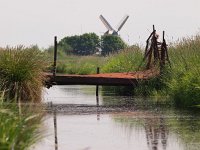 Rusty bridge  Rusty bridge in rural landscape with vintage wind mill in background : Netherlands, Zuidlaardermeer, balconies, biotoop, biotope, bridge, brug, bruggetje, canal, ditch, dutch, environment, environmental, field, gras, grass, groningen, holland, iron, landelijk, landscape, landschap, meadow area, metaal, metal, mill, molen, natura 2000, natural, nature, natuur, natuurbeheer, natuurbeleid, natuurlijk, natuurlijke, nederland, omgeving, onnen, onnerpolder, reflectie, reflection, roest, rudmer zwerver, rural, rust, rusty, sloot, spiegeling, summer, verroest, vintage, water, weidevogelgebied, wind mill, windmill