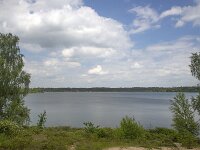 Typical landscape around Lake Reinders in Dutch National Park De Maasduinen; Bergen, Limburg, Netherlands  Typical landscape around Lake Reinders in Dutch National Park De Maasduinen; Bergen, Limburg, Netherlands : National park De Maasduinen, national park, np, Maasduinen, Bergen, Limburg, Netherlands, Dutch, Europe, european, landscape, rural landscape, rural scene, non-urban scene, non-urban landscape, rural, nature reserve, protected area, Natura 2000, nature, natural, spring, springtime, nobody, no people, summer, summertime, lake reinders, reindersmeer, lake, water, tree, trees, cloudy cloudy sky, sky, woodland, forest, skyscape
