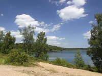 Typical landscape around Lake Reinders in Dutch National Park De Maasduinen; Bergen, Limburg, Netherlands  Typical landscape around Lake Reinders in Dutch National Park De Maasduinen; Bergen, Limburg, Netherlands : National park De Maasduinen, national park, np, Maasduinen, Bergen, Limburg, Netherlands, Dutch, Europe, european, landscape, rural landscape, rural scene, non-urban scene, non-urban landscape, rural, nature reserve, protected area, Natura 2000, nature, natural, spring, springtime, nobody, no people, summer, summertime, lake reinders, reindersmeer, lake, water, tree, trees, cloudy cloudy sky, sky, woodland, forest, sandy, skyscape, sand