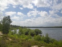 Typical landscape around Lake Reinders in Dutch National Park De Maasduinen; Bergen, Limburg, Netherlands  Typical landscape around Lake Reinders in Dutch National Park De Maasduinen; Bergen, Limburg, Netherlands : National park De Maasduinen, national park, np, Maasduinen, Bergen, Limburg, Netherlands, Dutch, Europe, european, landscape, rural landscape, rural scene, non-urban scene, non-urban landscape, rural, nature reserve, protected area, Natura 2000, nature, natural, spring, springtime, nobody, no people, summer, summertime, lake reinders, reindersmeer, lake, water, tree, trees, cloudy cloudy sky, sky, woodland, forest, skyscape