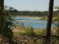 NL, Limburg, Weert, Lange Heide 2, Saxifraga-Marijke Verhagen