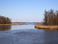 NL, Noord-Brabant, Altena, Gat van Lijnoorden 1, Saxifraga-Roel Meijer