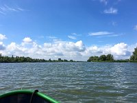 NL, Noord-Brabant, Altena, Gat van den Kleinen Hil 2, Saxifraga-Bart Vastenhouw