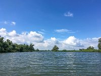 NL, Noord-Brabant, Altena, Gat van den Kleinen Hil 4, Saxifraga-Bart Vastenhouw