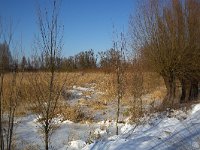 NL, Noord-Brabant, Altena, Oever Nieuwe Merwede 3, Saxifraga-Roel Meijer