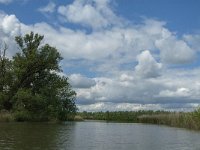 NL, Noord-Brabant, Drimmelen, Buiten Kooigat 17, Saxifraga-Jan van der Straaten