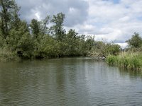 NL, Noord-Brabant, Drimmelen, Buiten Kooigat 41, Saxifraga-Willem van Kruijsbergen