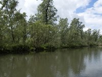 NL, Noord-Brabant, Drimmelen, Buiten Kooigat 45, Saxifraga-Willem van Kruijsbergen