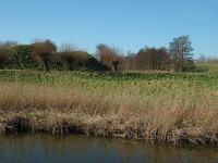 NL, Noord-Brabant, Fijnaart en Heijningen, Fort Sabina 5, Saxifraga-Jan van der Straaten