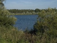 NL, Noord-Brabant, Goirle, Hoge Wal 2, Saxifraga-Jan van der Straaten