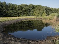 NL, Noord-Brabant, Goirle, Landgoed De Hoevens 73, Saxifraga-Willem van Kruijsbergen