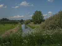 NL, Noord-Brabant, Oss, De Vliet 1, Saxifraga-Jan van der Straaten