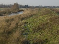 NL, Noord-Brabant, Oss, Haren, Groenendijk 4, Saxifraga-Jan van der Straaten