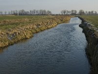 NL, Noord-Brabant, Oss, Strijbeemden, Hertogswetering 1, Saxifraga-Jan van der Straaten