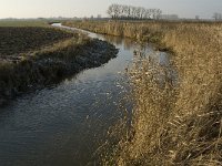 NL, Noord-Brabant, Oss, Strijbeemden, Hertogswetering 11, Saxifraga-Jan van der Straaten