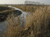 NL, Noord-Brabant, Oss, Strijbeemden, Hertogswetering 12, Saxifraga-Jan van der Straaten