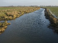 NL, Noord-Brabant, Oss, Strijbeemden, Hertogswetering 14, Saxifraga-Jan van der Straaten