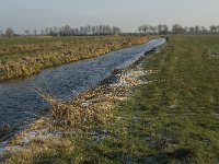 NL, Noord-Brabant, Oss, Strijbeemden, Hertogswetering 5, Saxifraga-Jan van der Straaten