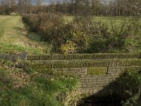 NL, Noord-Brabant, Valkenswaard, Pelterheggen 25, Saxifraga-Jan van der Straaten