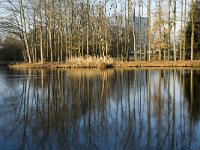 NL, Noord-Brabant, Veldhoven, De Hogt, Kempense Plassen 1, Saxifraga-Jan van der Straaten