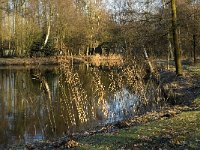 NL, Noord-Brabant, Veldhoven, De Hogt, Kempense Plassen 13, Saxifraga-Jan van der Straaten