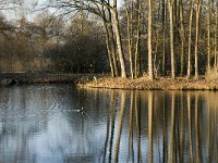 NL, Noord-Brabant, Veldhoven, De Hogt, Kempense Plassen 15, Saxifraga-Jan van der Straaten