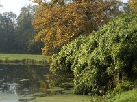 NL, Noord-Brabant, Vught, Kasteel Maurick 9, Saxifraga-Jan van der Straaten