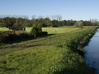 NL, Noord-Brabant, Waalwjk, Den Dulver 4, Saxifraga-Jan van der Straaten