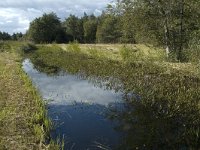 NL, Noord-Holland, 's-Graveland, Kromme Rade 12, Saxifraga-Jan van der Straaten