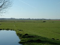 NL, Noord-Holland, Zaanstad, Polder Westzaan 1, Saxifraga-Jan van der Straaten