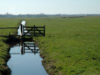 NL, Noord-Holland, Zaanstad, Polder Westzaan 6, Saxifraga-Jan van der Straaten