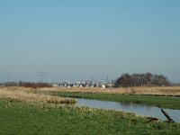 NL, Noord-Holland, Zaanstad, Polder Westzaan 7, Saxifraga-Marijke Verhagen