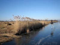 NL, Overijssel, Steenwijkerland, Weerribben 18, Saxifraga-Harry van Oosterhout : winter, schaatsen, ijs, Weerribben, riet, sport, recreatie