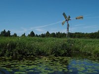 NL, Overijssel, Steenwijkerland, Weerribben 4, Saxifraga-Hans Dekker