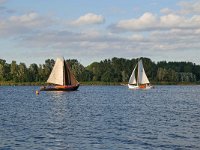 NL, Utrecht, Bunschoten, Eemmeer 1, Saxifraga-Tom Heijnen