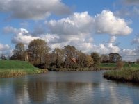 NL, Zeeland, Veere 5, Saxifraga-Jan van der Straaten