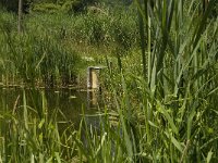 Brook marshes-Beekmoerassen