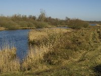 B, Limburg, Kinrooi, De Luysen 11, Saxifraga-Jan van der Straaten