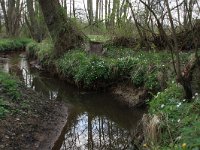 NL, Drenthe, Aa en Hunze, De Burgvallen 27, Saxifraga-Hans Boll