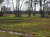 NL, Drenthe, Aa en Hunze, De Burgvallen 28, Saxifraga-Hans Boll