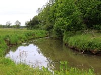 NL, Drenthe, Aa en Hunze, Deurzerdiep 89, Saxifraga-Hans Boll