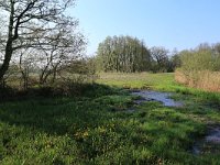 NL, Drenthe, Aa en Hunze, Drentsche Aa 33, Saxifraga-Hans Boll