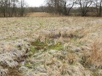 NL, Drenthe, Aa en Hunze, Drentsche Aa 5, Saxifraga-Hans Boll